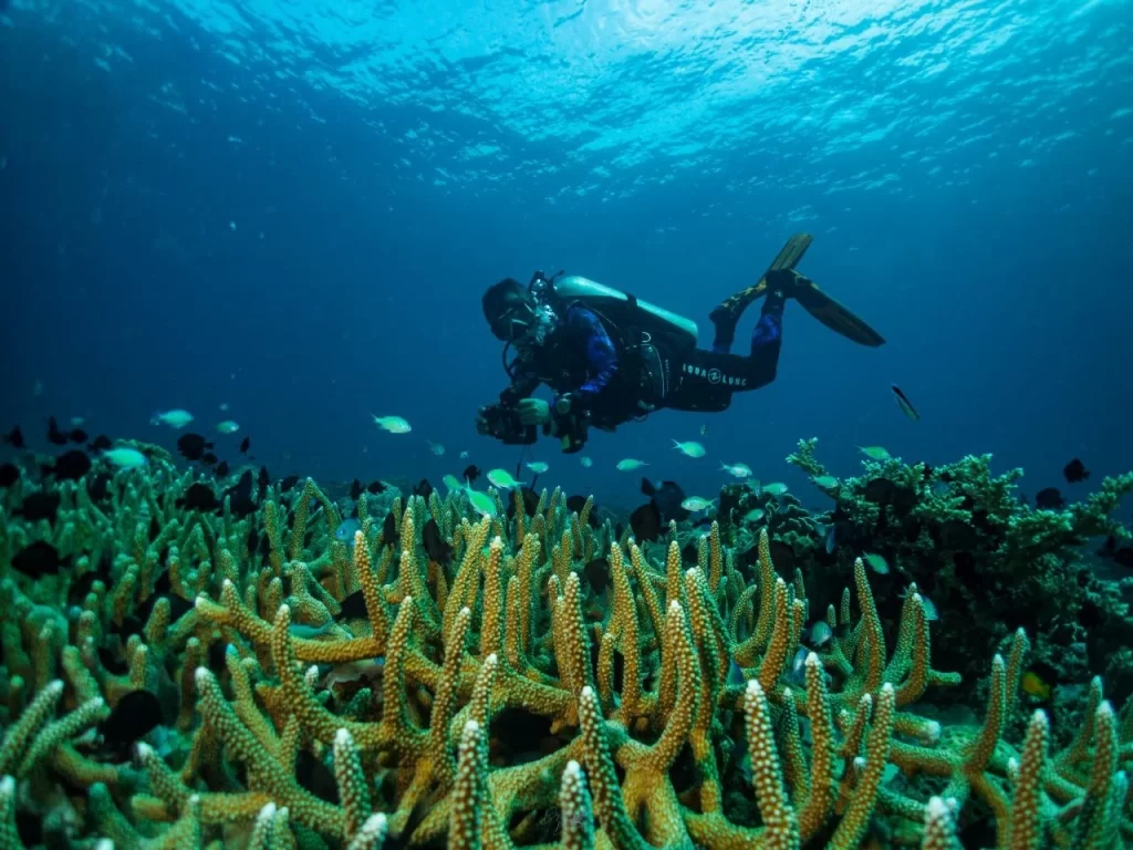 Khmer Dive Group on Koh Rong Island in SihanoukVille, Cambodia