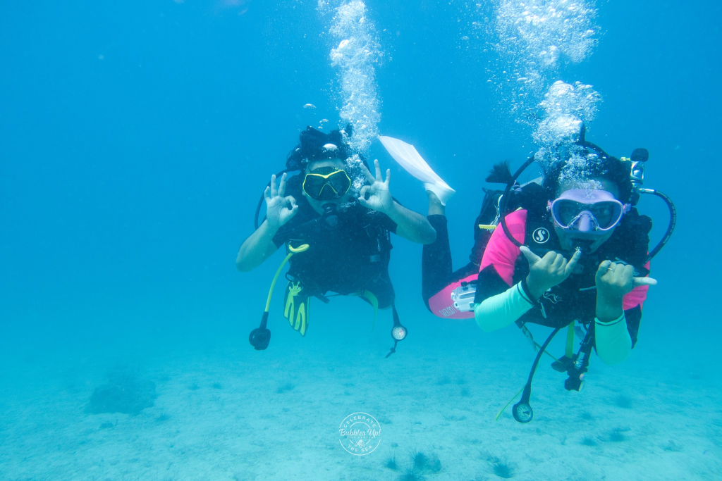 bubbles up dive center