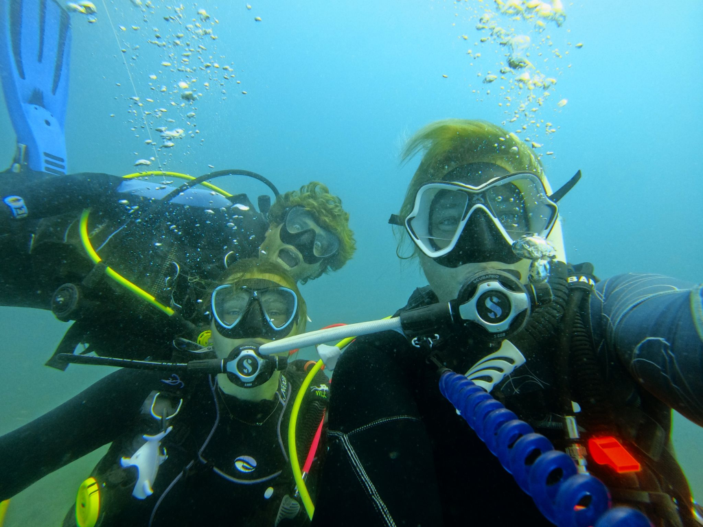 bubbles up dive center